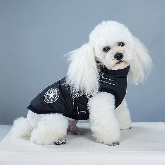 manteau-chien--caniche-blanc