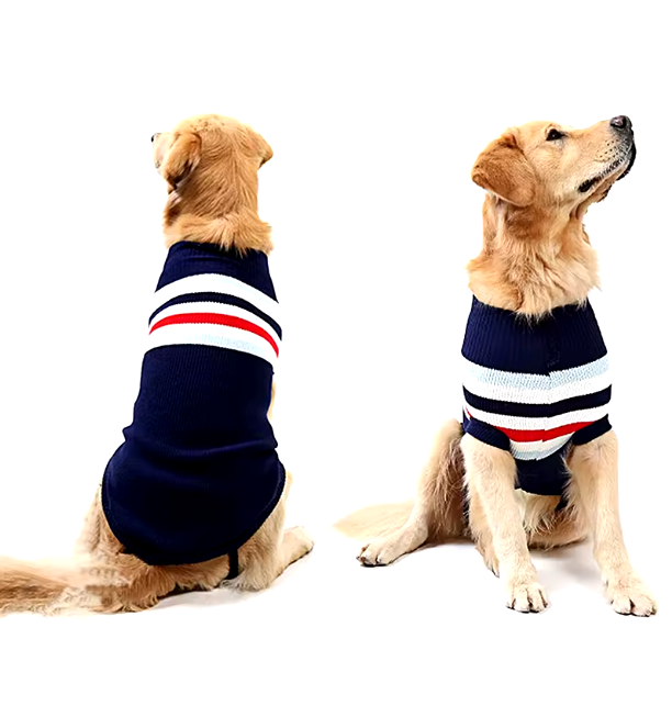 pull-chien-marin