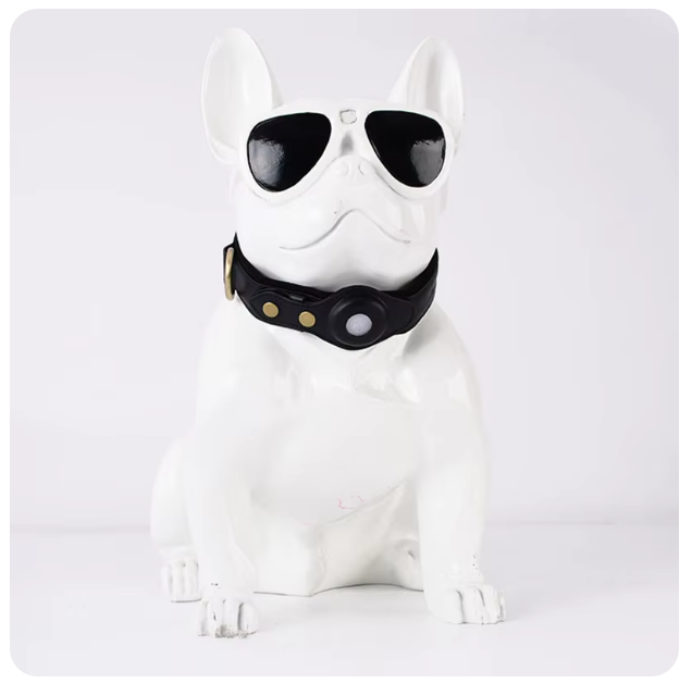 collier-airtag-pour-chien-lunette