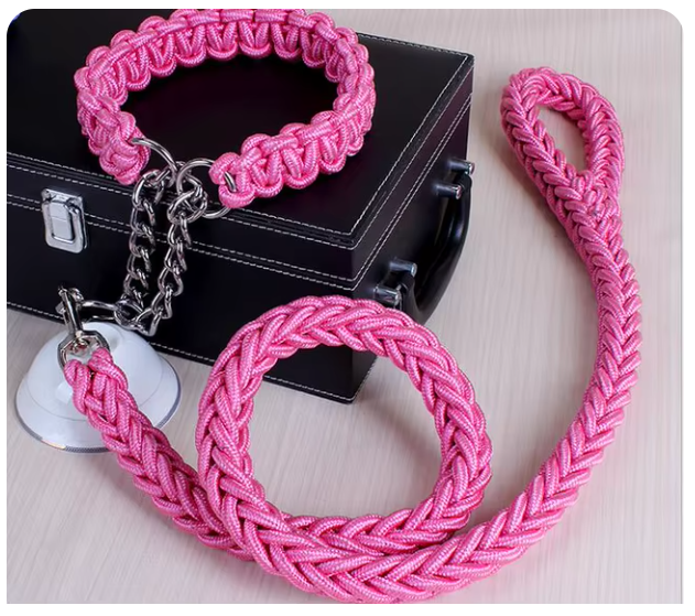 collier-laisse-brin-rose-chien