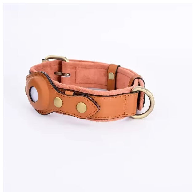 collier chien airtag