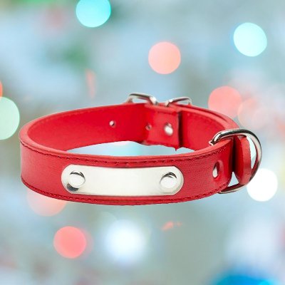 collier-chien-cuir-rouge