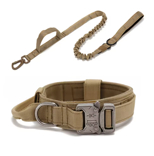 Collier et laisse pour chien