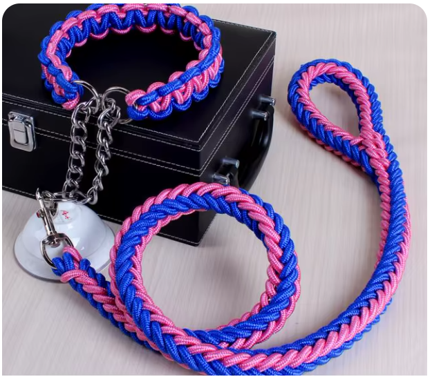 collier-laisse-brin-chien-rose-bleu