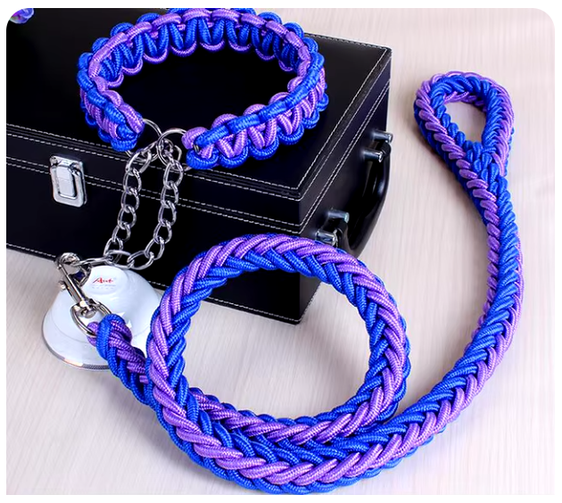 collier-laisse-chien-brin-bleu-violet