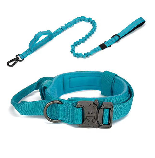 Collier et laisse pour chien