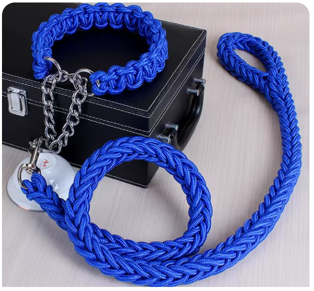 collier-laisse-chien-brin-bleu