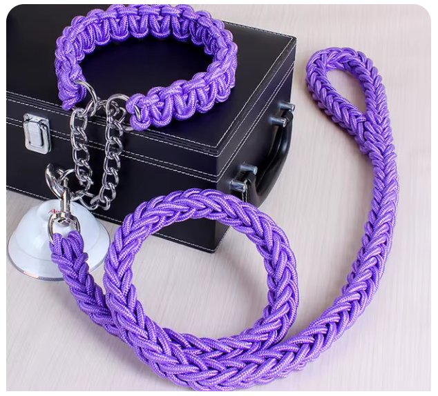 collier-laisse-chien-brin-violet