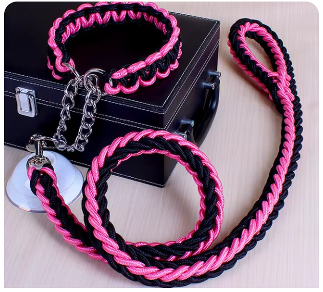 collier-laisse-chien-brin-noir-rose