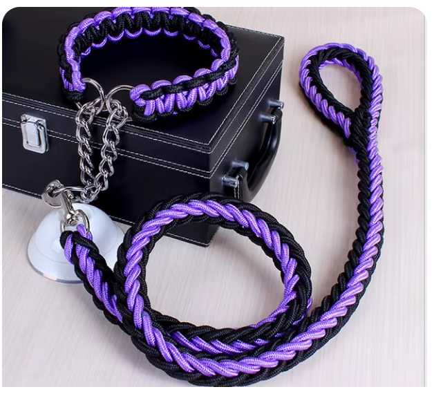 collier-laisse-chien-noir-violet