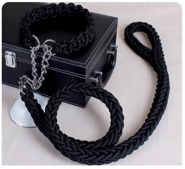 collier-laisse-chien-brin-noir