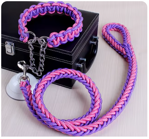 collier-laisse-brin-chien-rose-violet