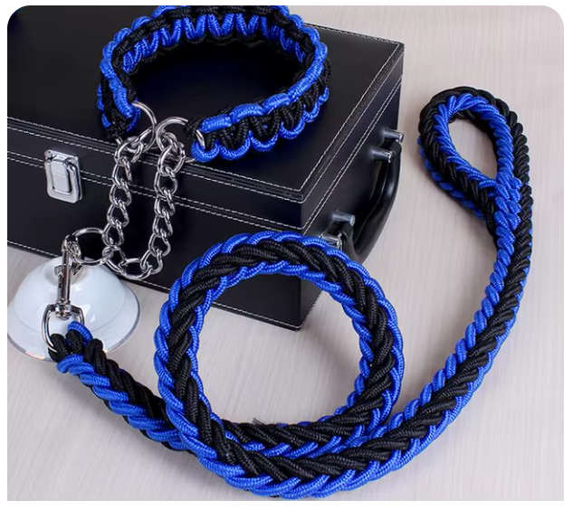 collier-laisse-chien-brin-noir-bleu