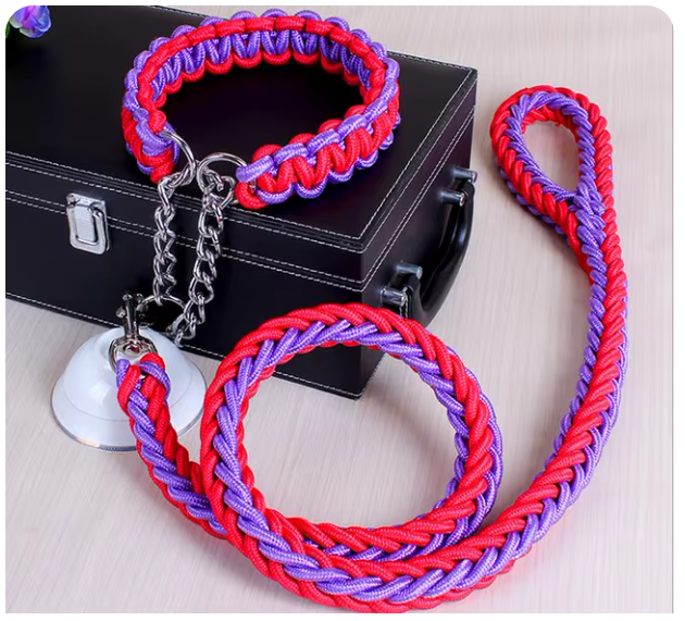 collier-laisse-chien-brin-rouge-violet