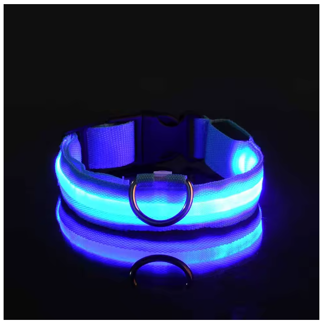 collier-pour-chien-lumineux-bleu