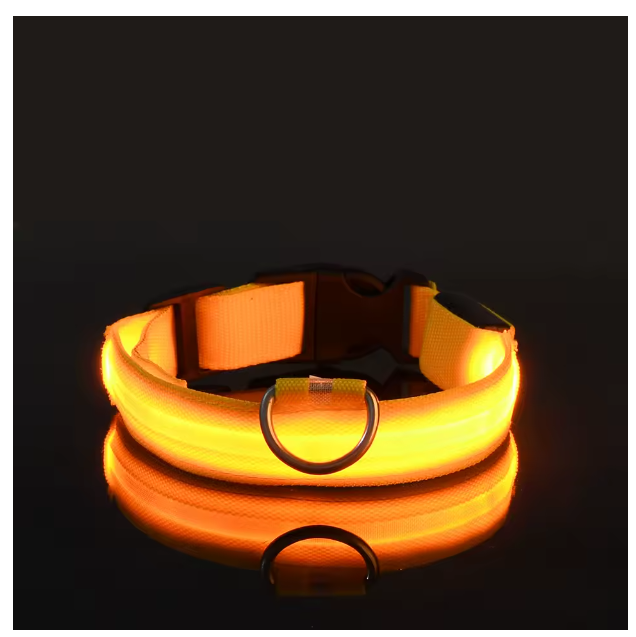 collier-pour-chien-lumineux-jaune