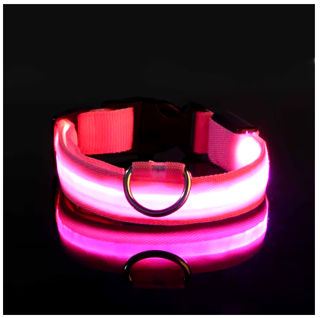 collier-pour-chien-lumineux-rose