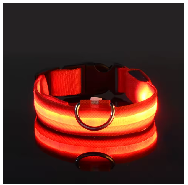 collier-pour-chien-lumineux-rouge