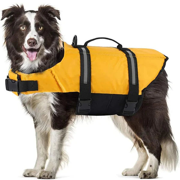 gilet-sauvetage-chien-jaune