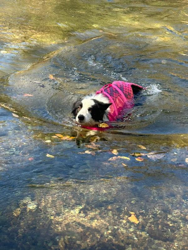 gilet-sauvetage-rose-pour-chien