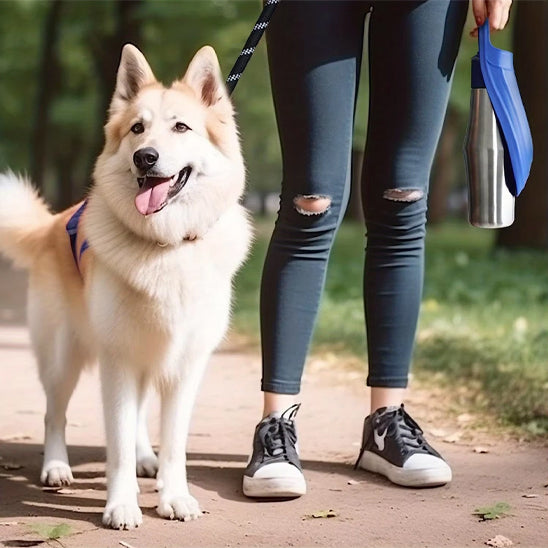 gourde-chien-bleu-balde