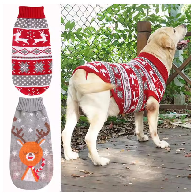 pull-hiver-chien-noel