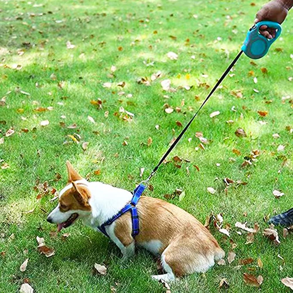 laisse-retractable-pour-chien-nature