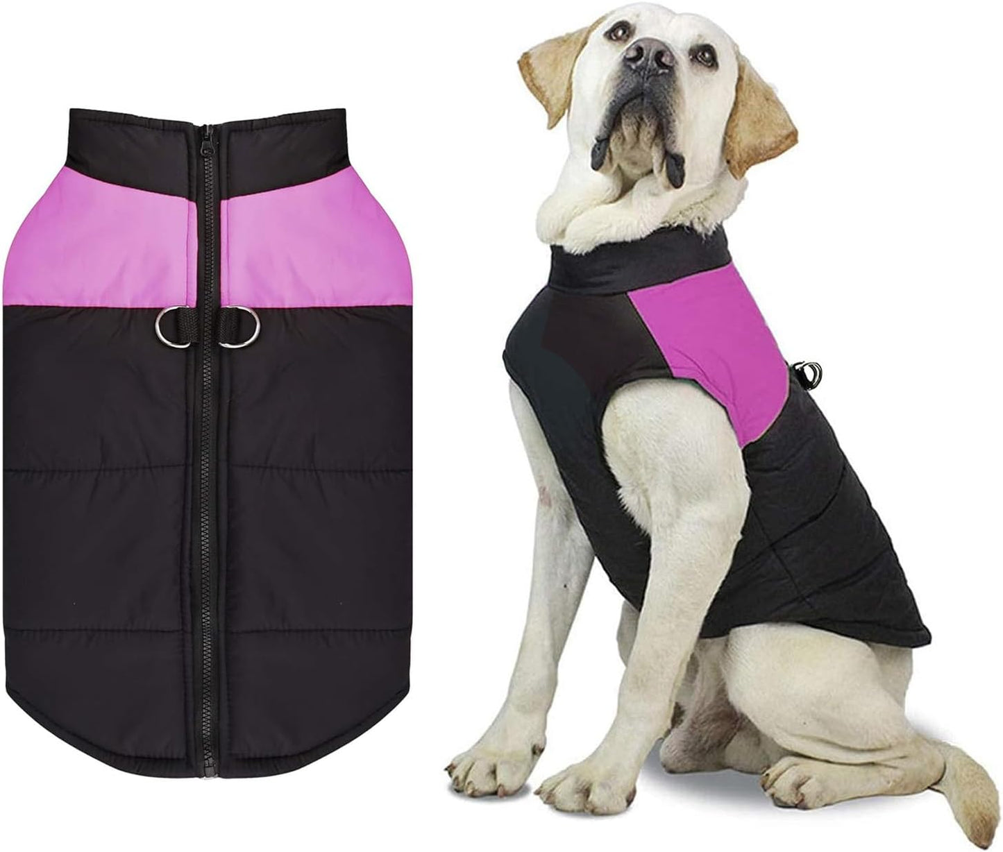 manteau rembourré pour chien