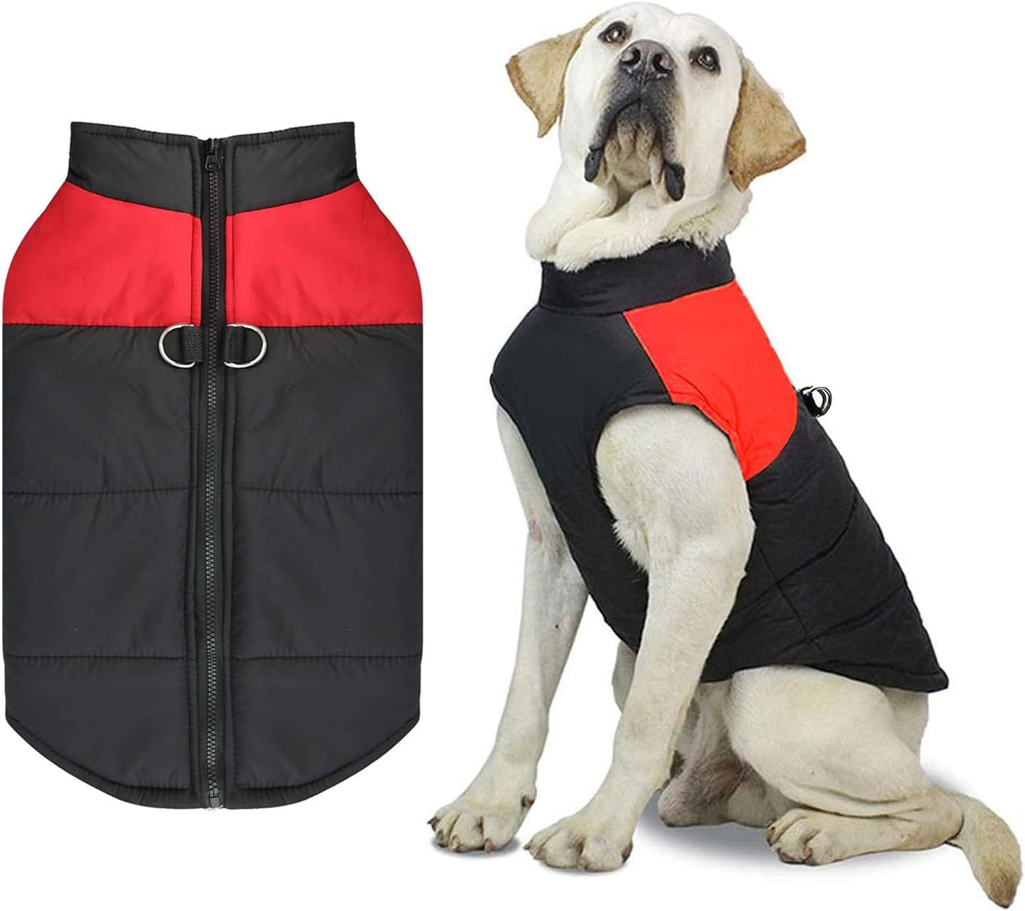 manteau rembourré pour chien