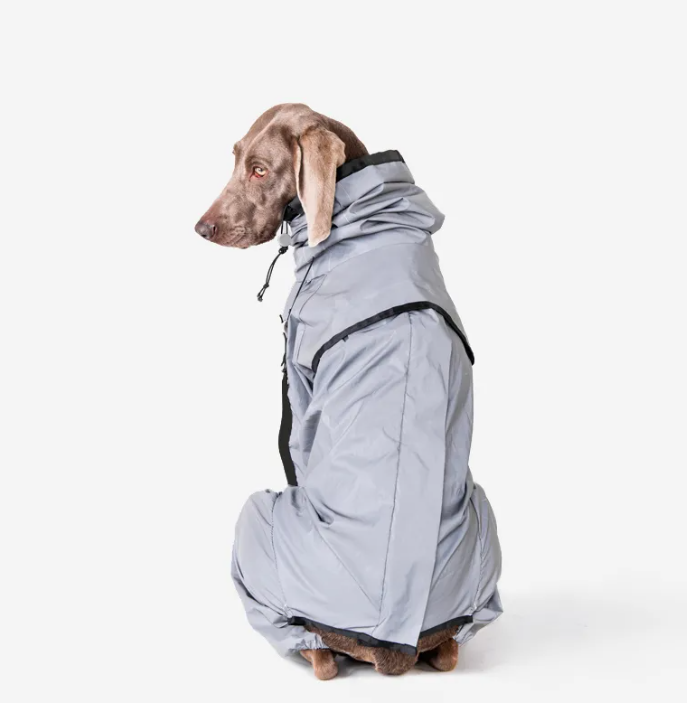 veste-impermeable-chien-gris