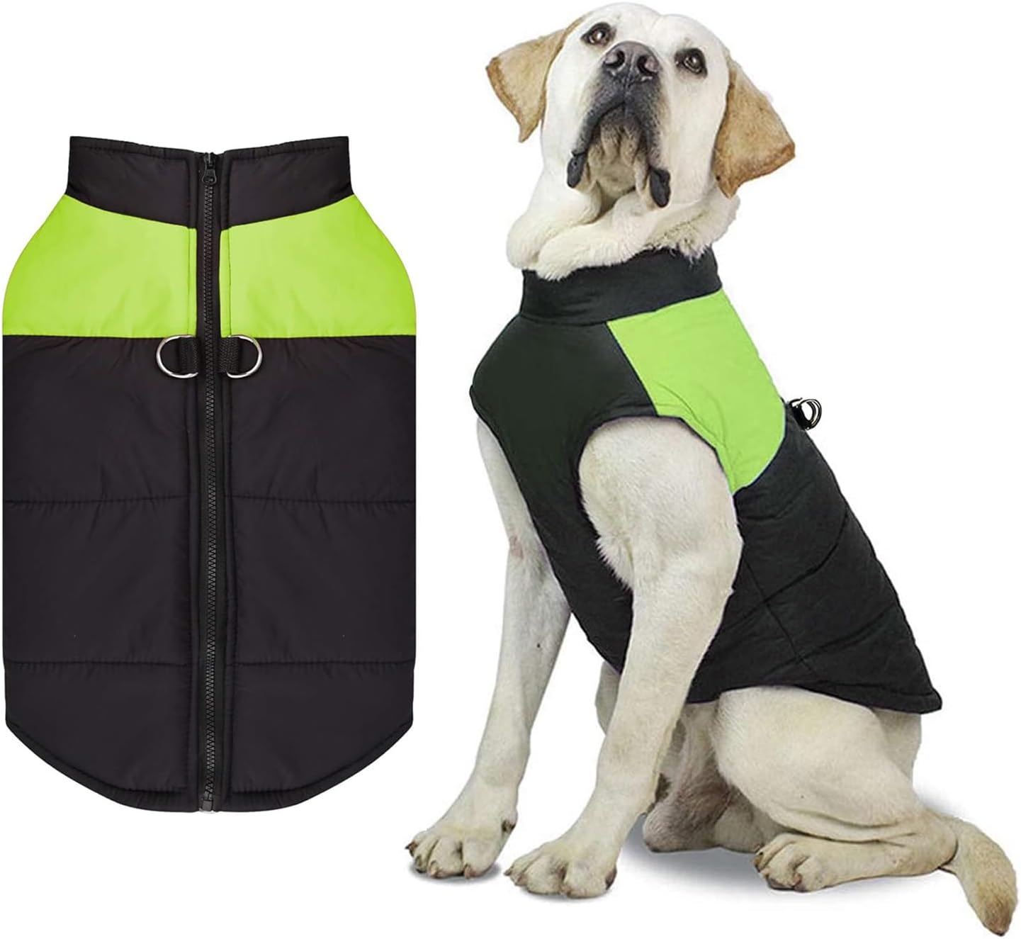 manteau rembourré pour chien