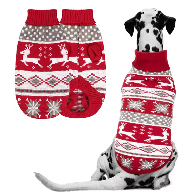 pull-hiver-chien-noel