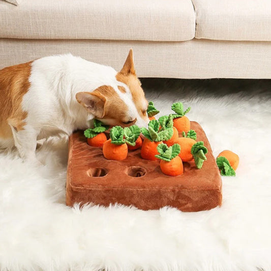 tapis-de-fouille-chien-carotte