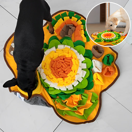 tapis-de-fouille-jouet-chien