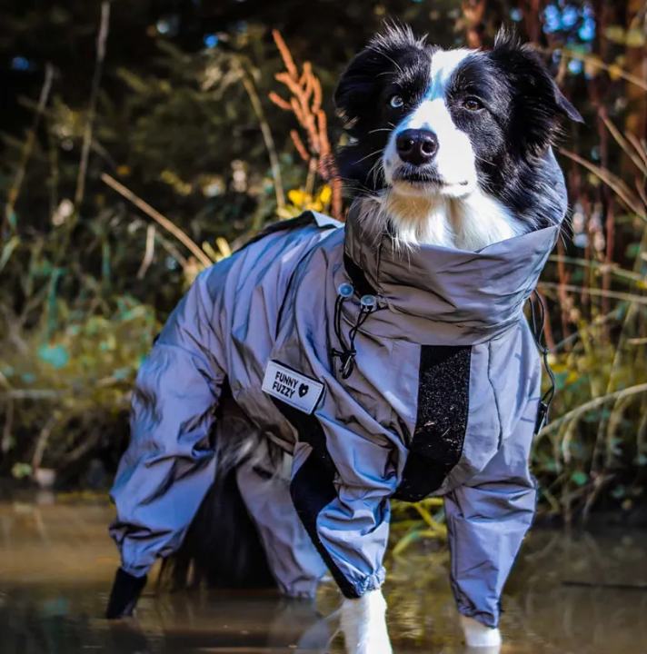 veste-manteau-impermeable-chien