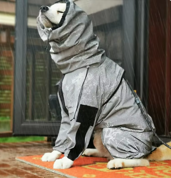 veste-impermeable-chien-pluie