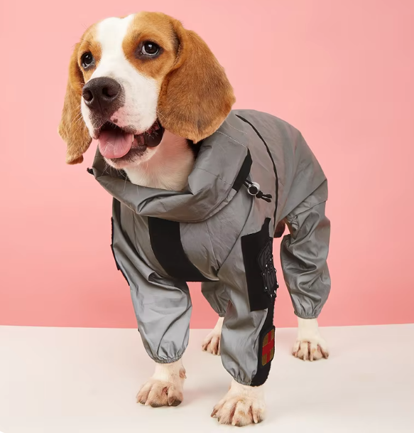 veste-impermeabe-chien